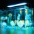 Import factory wholesale RF control extendable brackets RGB aquarium light led lamp LED fish tank aquarium light with good heat dissipa from China