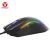 Import Fantech X4s High resolution 7d gaming mouse for computer peripherals RGB light macro wired mouse gamer from China