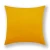 Import Fashion Wholesale Solid Color Soft Plush Foor pillow18x18 Sofa Home Decor Velvet Cushion Cover Throw Pillow Covers Pillowcases from China