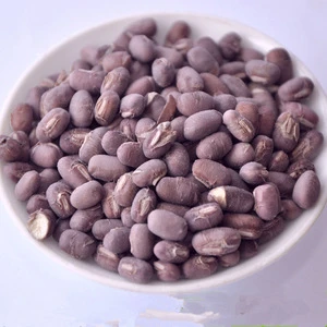 FD004G 100% Natural FD Grain Freeze Dried Red Beans for Sale