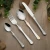 Import forks knives and spoons, German tableware, flatware set from China
