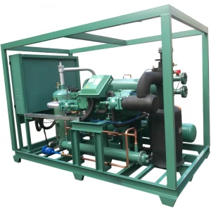 Freezer refrigeration equipment used in cold room water-cooled Bitzer-screw condensing unit for frozen food shrimp poultry meat