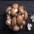 Import Fresh And White Frozen Mushroom For Sale from China