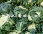 Fresh Cauliflower