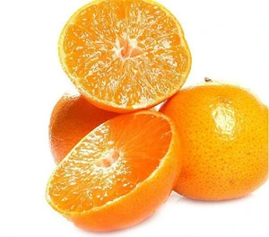 fresh citrus fruit/juicy navel orange