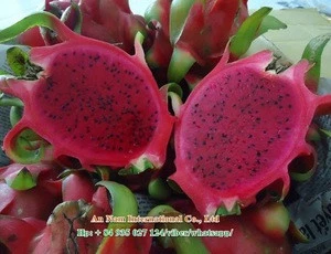 Fresh Dragon Fruit - Heaven tropical fruit Viet Nam - best price and top qualityMs.Bach0084935027124