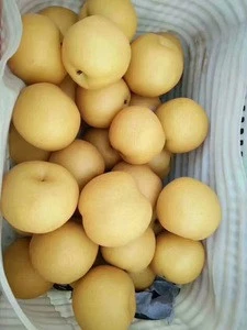 Fresh Fengshui Pear