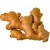 Import Fresh Raw Ginger from India