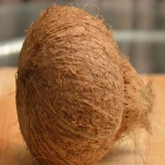 Fresh Style Coconuts with Husk - Tropical &amp; Sub Tropical Fruit Product From Pollachi