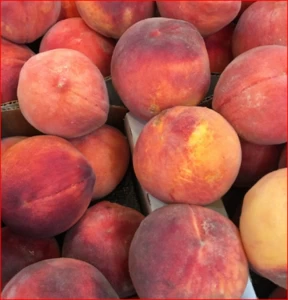 Fresh sweet peaches from Brazil