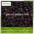 Import frozen blackberry fruits from China