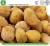 Import frozen chestnut price with good quality from China