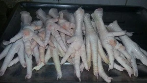 Frozen Chicken Feet/Frozen Chicken Paws!