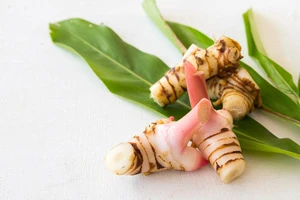 FROZEN FRESH GALANGAL WITH BEST PRICE FOR FOOD AND VEGETABLE INDUSTRY FROM VIETNAM