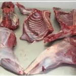 Frozen  Meat for Sale