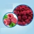 Import FYFD014F Natural freeze dried raspberry from China