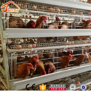Galvanized welded wire animal cages hot sale layer battery chicken cage for egg poultry farming