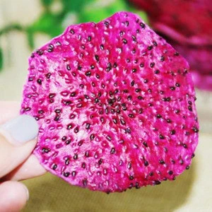 Gold seller High quality Red and White Dried Dragon Fruit