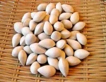 Good Quality Ginkgo Nuts for Sale