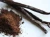 Import Good quality Vanilla Beans from Thailand