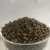 Import Granular DAP Diammonium Phosphate Fertilizer from China