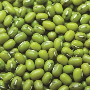 Green Mung Beans Myanmar or any other origin