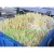 Import growing soya sprouts/bean sprout maker/seeds planting machine from China