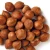 Import Guaranteed Quality Unique Hazelnut kernels/Hazelnut from Canada