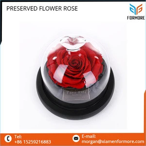 Handmade Long Time Dried Preserved Rose Flower in Beautiful Glass