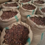 High Grade Cocoa Beans