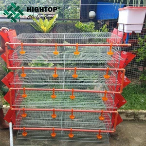 High quality automatic cage quail / birds quail cages for laying hen