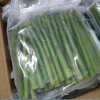 High Quality Frozen  IQF  Green Asparagus