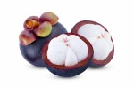 High quality mangosteen fruits powder freeze dried  from VietNam