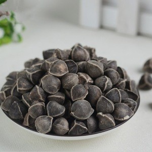 High Quality Moringa Seeds for Sale and export