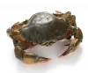 High quality Organic Spiny Lobster for sale at very affordable wholesale prices