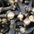 Import High Quality Seasonings &amp Condiments clove for sale from China