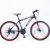 High quality wholesale 21 speed customized cheap adult mountain bicycle
