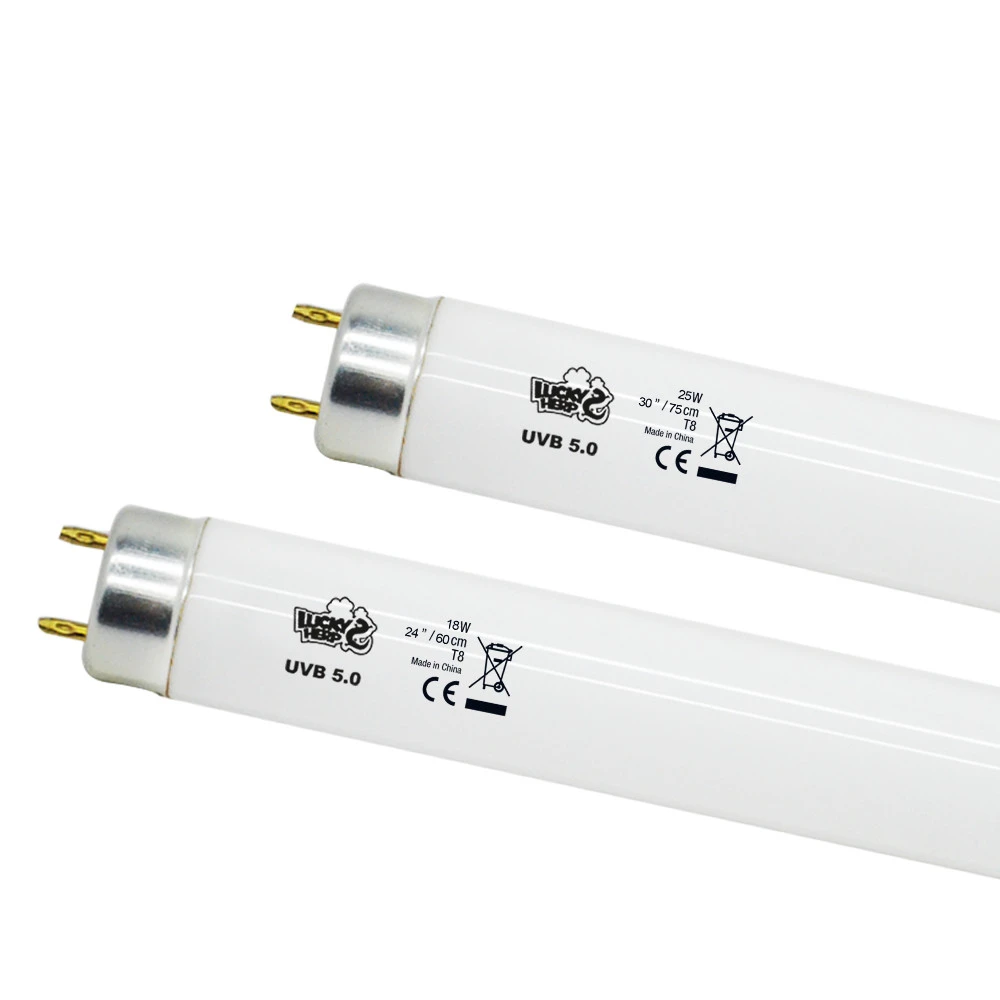 Hot sale energy saving 15W 18W 36W 58W t8 fluorescent tube lamp