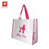 Hot Sell Promotional Lady Reusable Shopping Laminated Pp Non Woven Bag
