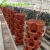 Import Hot Sell Smart Self Watering Vertical Garden With Irrigation from China