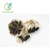 Import Hot Selling Pure Natural Black Garlic Extract Black Garlic Seeds Extract 100:1 from China