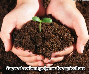 Hydrogel Soil-Super Absorbent Polymer for corp
