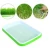 Import Hydroponics Seed Germination Tray Seedling Tray Sprout Plate Grow Nursery Pots from China
