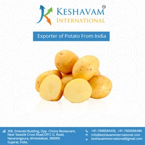 Indian Fresh Potato