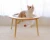 Import Indoor  pet  Cat cages  carriers  house   Sphere for cats  cage house from China