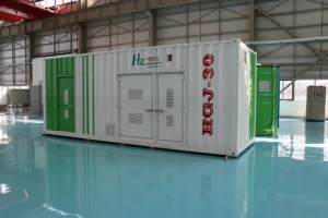 industrial Capacity PEM water electrolyzer Hydrogen Oxygen Generator fuel cell tecnology wasserstoff generator