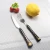 Import International stainless steel flatware ,fruit fork and knife set from China