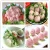 Import JUYOU beef meatball maker price vegetable stuffing ball forming machine meat and vegetable mixing ball former machine from China