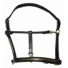 Leather Horse Halter with strip