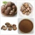 Import Lentinus edodes mushroom powder pure champignon bulk freeze dried shiitake extract from China